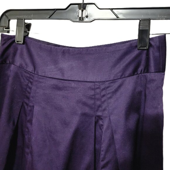 The Limited Deep Amethyst Purple Pleated A-Line Cotton Skirt Size XS - Picture 3 of 8